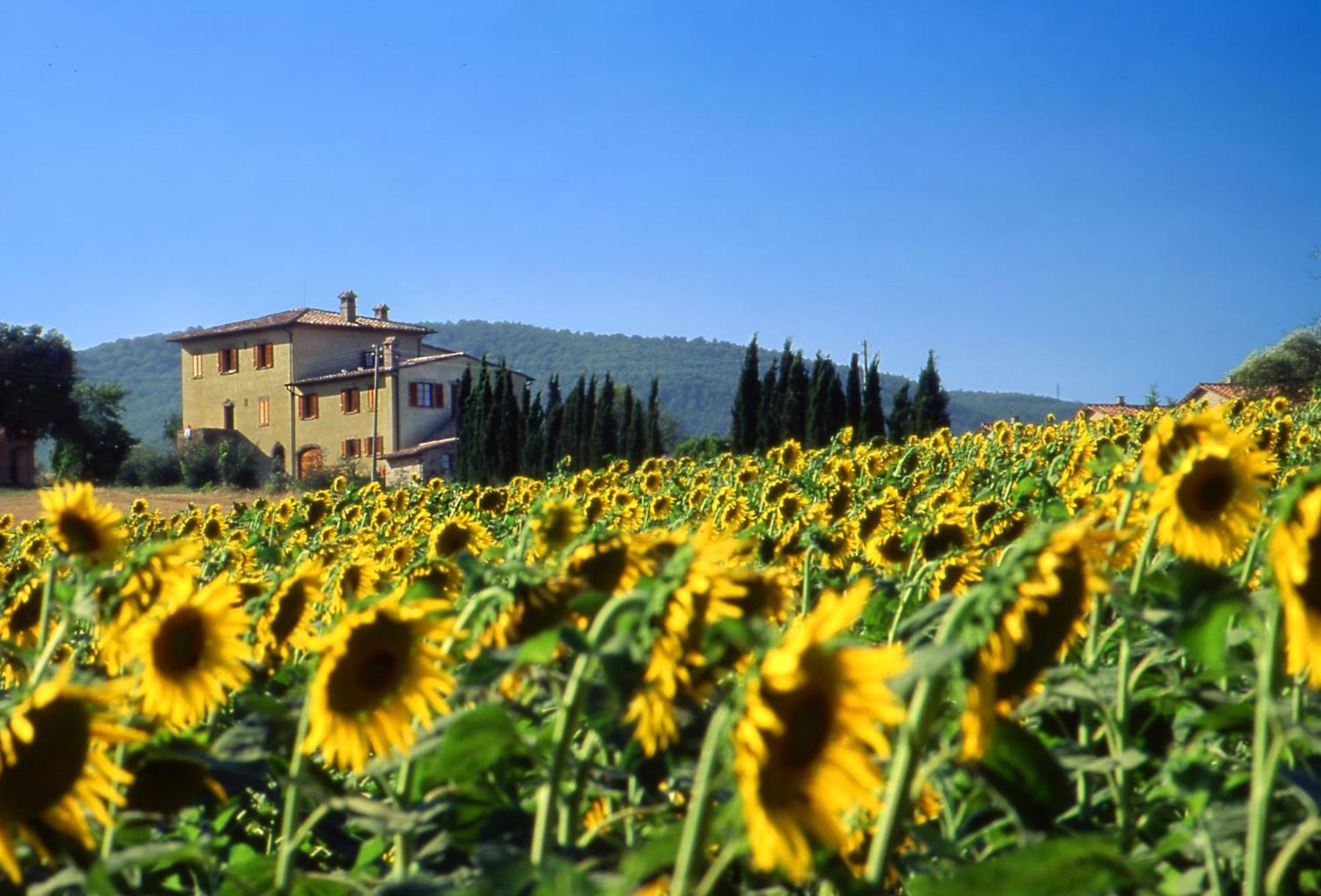 Agriturismo Palazzo Bandino - Wine Cellar, On Reservation Restaurant And Spa Chianciano Terme Exterior photo